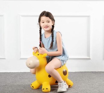 Bouncy Horse Hopper Inflatable Toy for Kids
